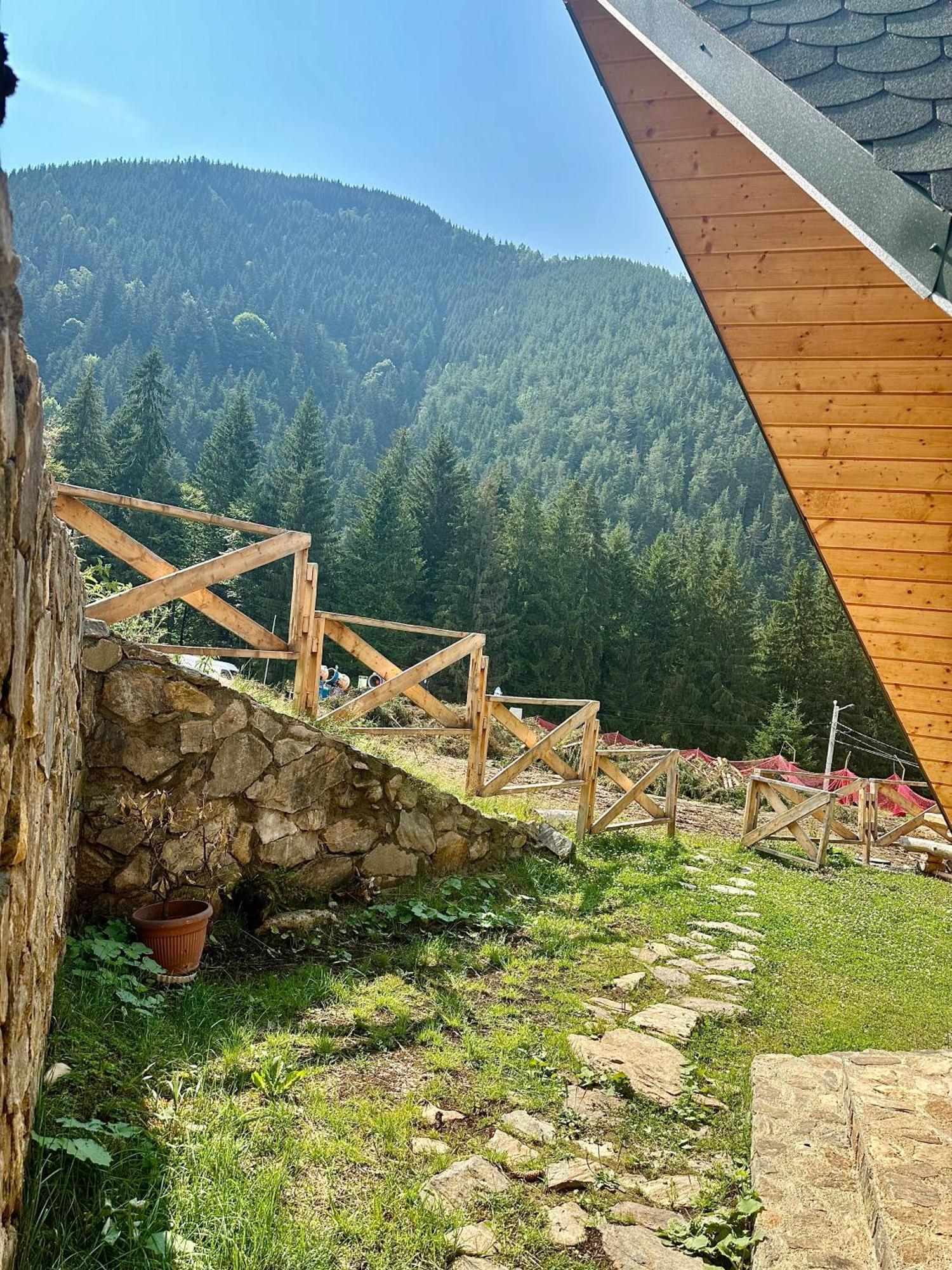 Domul Poarta Retezat Βίλα Rausor Εξωτερικό φωτογραφία