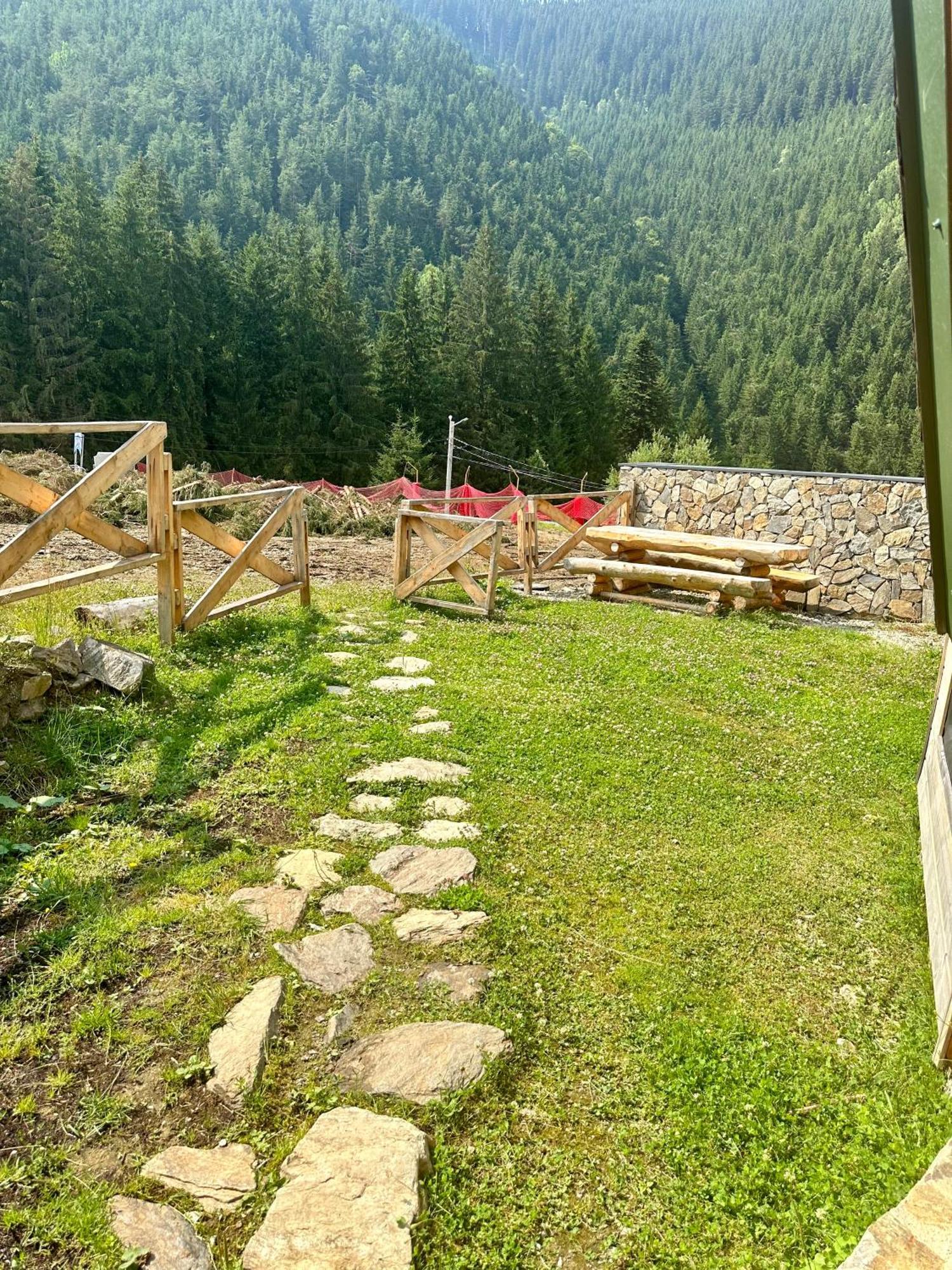 Domul Poarta Retezat Βίλα Rausor Εξωτερικό φωτογραφία